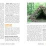 101 Skills You Need to Survive in the Woods